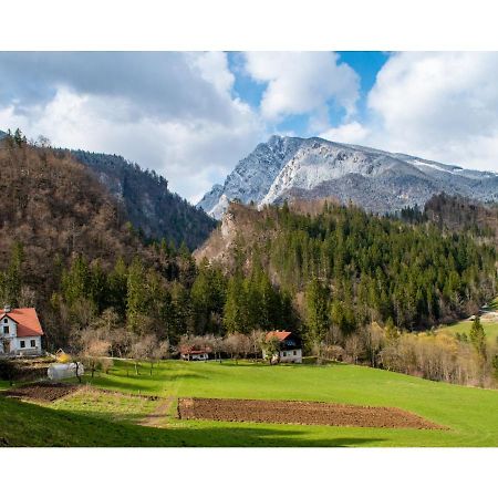 Turisticna Kmetija Stoglej Villa Luce Luaran gambar