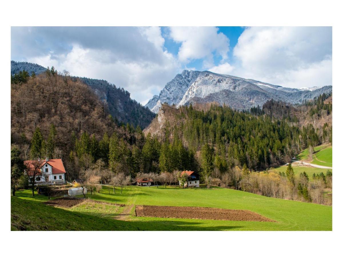 Turisticna Kmetija Stoglej Villa Luce Luaran gambar