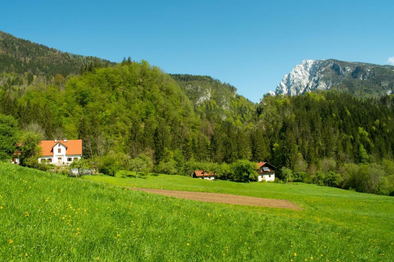 Turisticna Kmetija Stoglej Villa Luce Luaran gambar